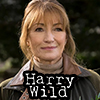 Harry Wild